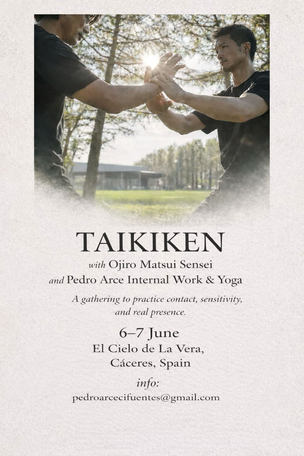 Taikiken workshop Ojiro Matsui in Spain 6 and 7 June