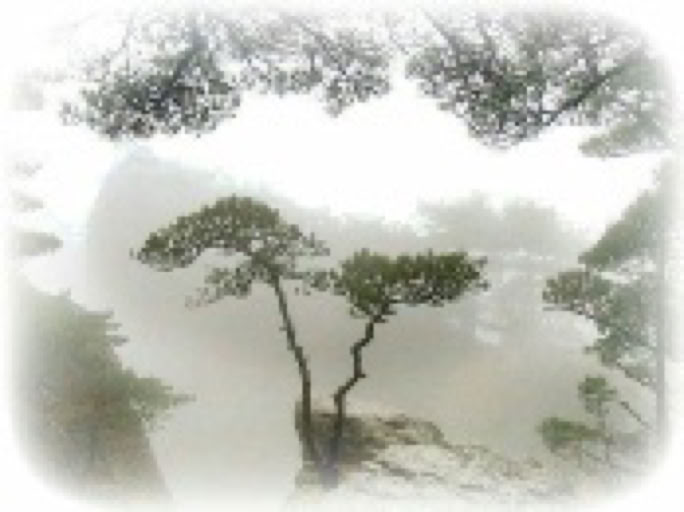 Taiki Natural Tuning Natural Tuning Czechia.