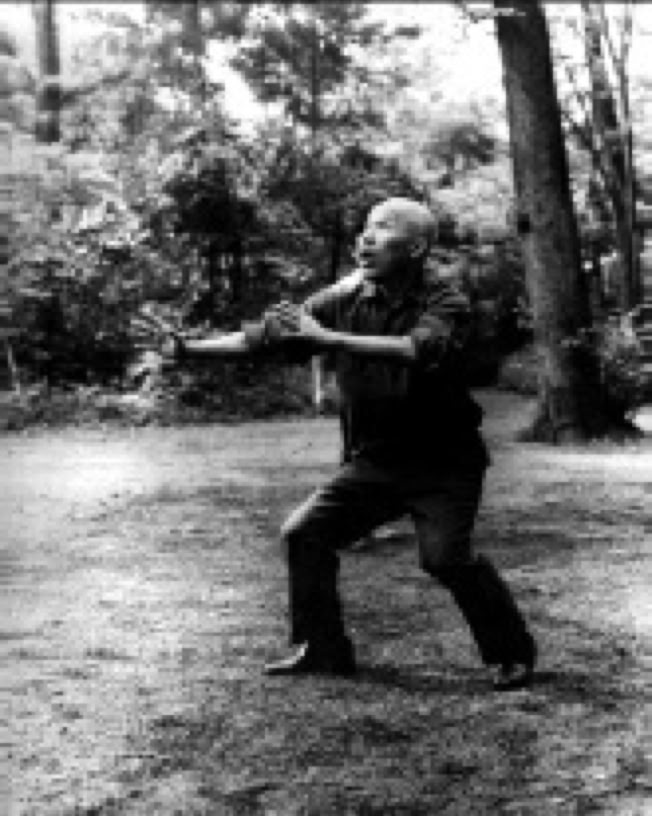 Master Kenichi Sawai Taikiken Hakkei.
