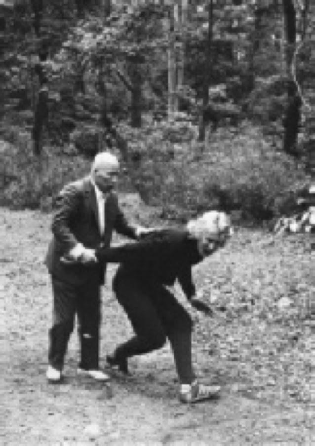 Sawai sensei and Ron Nansink Taikiken arm controll 