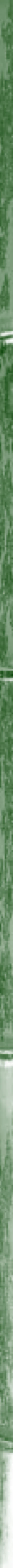 taikiken green bamboo side stripe